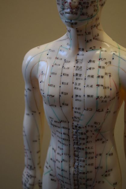 Acupunctuur bij pijnklachten zoals rugpijn en frozen shoulder, praktijk in Vlijmen (regio Den Bosch/Heusden)